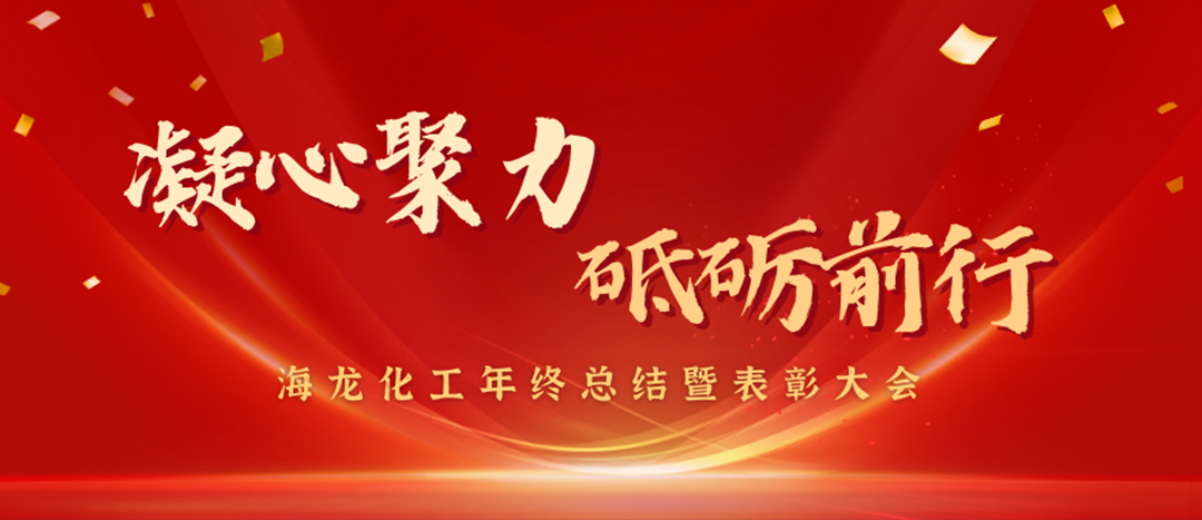 表彰 | 凝心聚力，砥礪前行，海龍化工年終總結暨表彰大會圓滿舉行