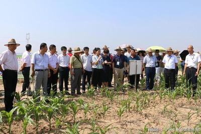 全國農技推廣效能提升暨星級服務創建工作在蒲城縣舉辦