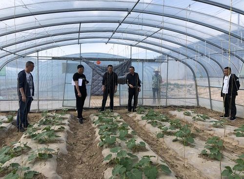 學(xué)黨史砥礪初心 強(qiáng)技術(shù)服務(wù)三農(nóng)——市農(nóng)業(yè)技術(shù)推廣中心站扎實(shí)開展“我為農(nóng)民辦實(shí)事”實(shí)踐活動(dòng)