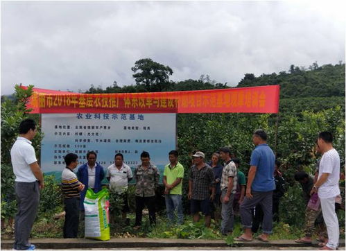 瑞麗市召開2018年農(nóng)技推廣補(bǔ)助項(xiàng)目基地物資發(fā)放暨現(xiàn)場觀摩培訓(xùn)會(huì)