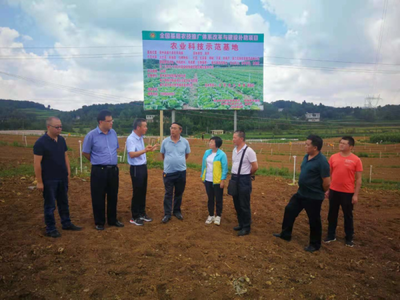 省農業科技發展中心主任潘爾珣深入畢節調研，指導基層農技推廣補助項目建設工作